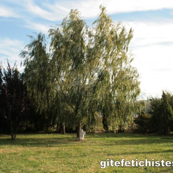 Le parc du gîte