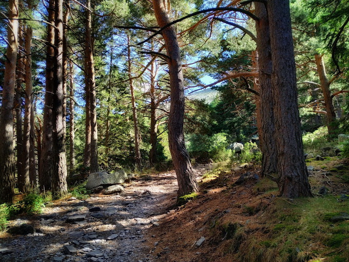 Parc Naturel de Moncayo Parc Naturel de Moncayo